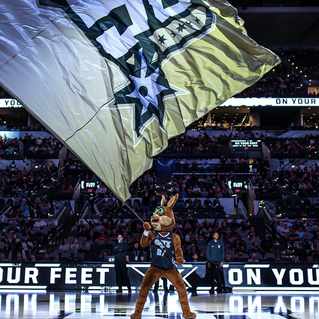 这样内容会 这样内容会